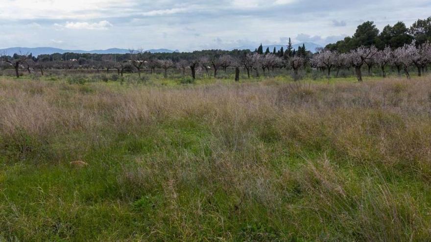 Marratxí cede un solar al Consell para construir un parque de bomberos