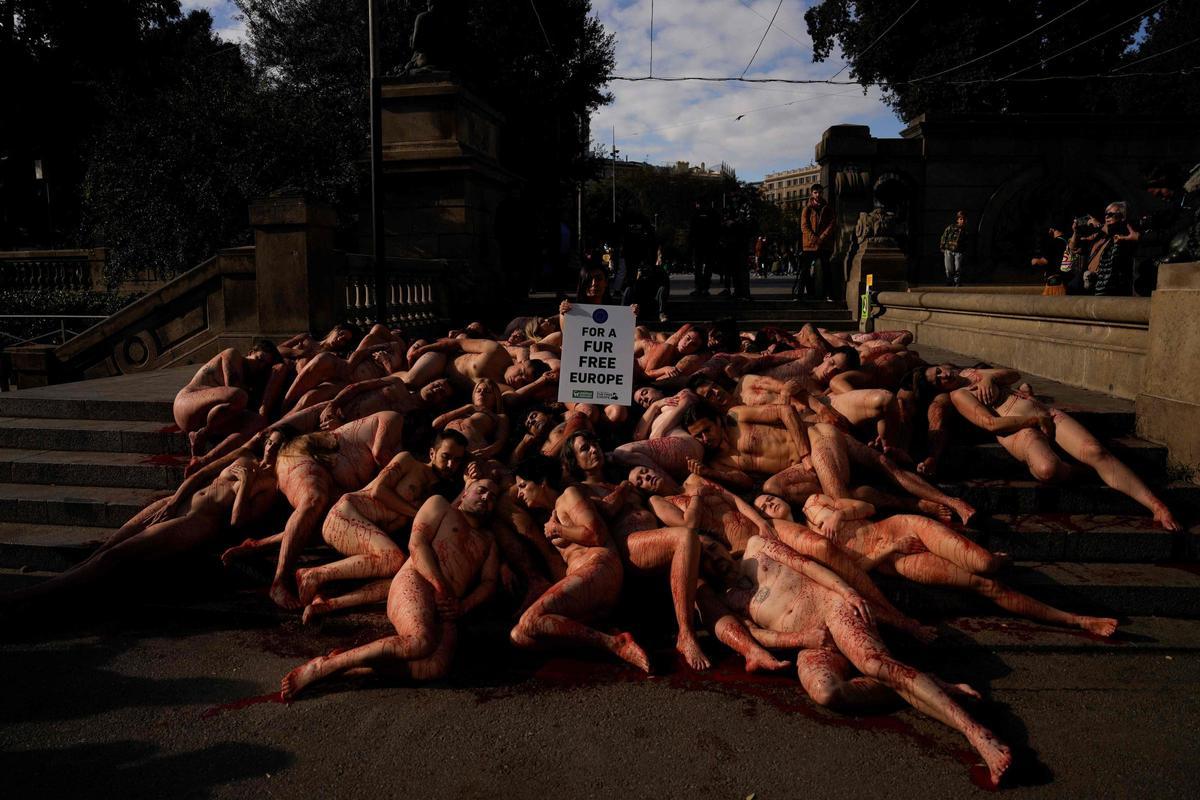 ADVERTENCIA: IMÁGENES SENSIBLES │Activistas se manifiestan en Barcelona por los derechos de los animales y contra el uso de pieles o cueros