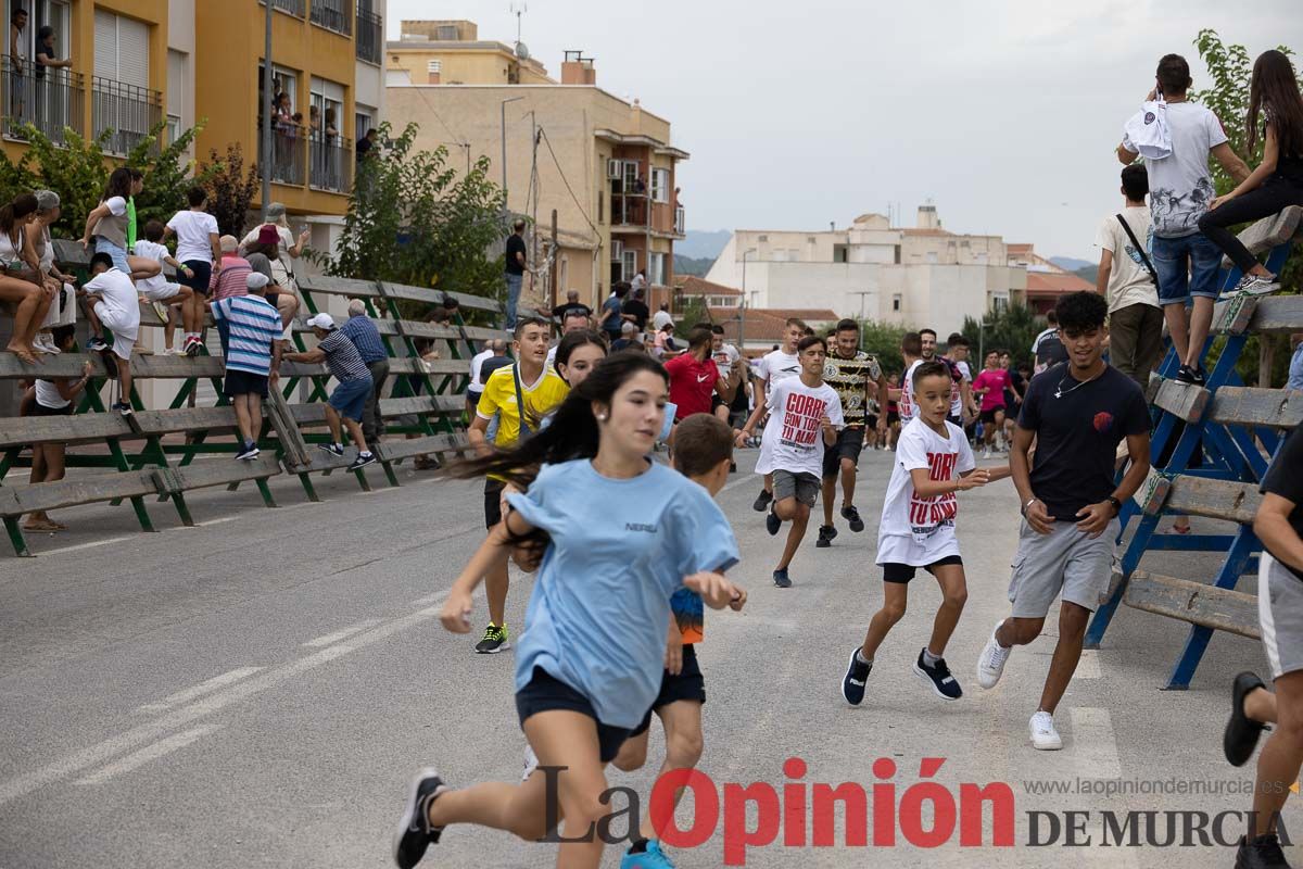 Chupinazo y encierro chico en Calasparra