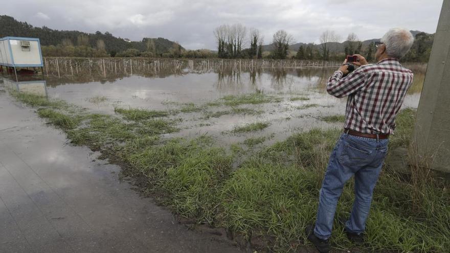 El río Nalón desbordado a su paso por Pravia y Quinzanas