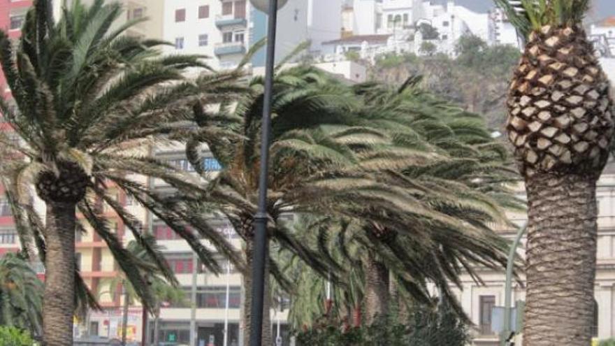 Precipitaciones y rachas de viento fuerte en Canarias este jueves