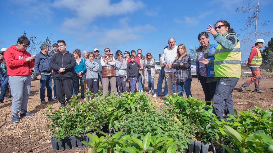 Tenerife’s Cabildo Launches 18 Community Initiatives for Environmental Stewardship