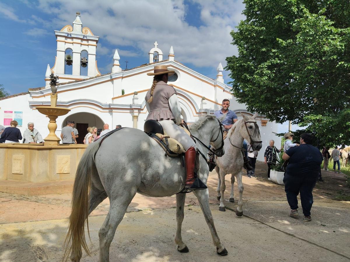 Galería | Coria recibe a su patrona, la Virgen de Argeme