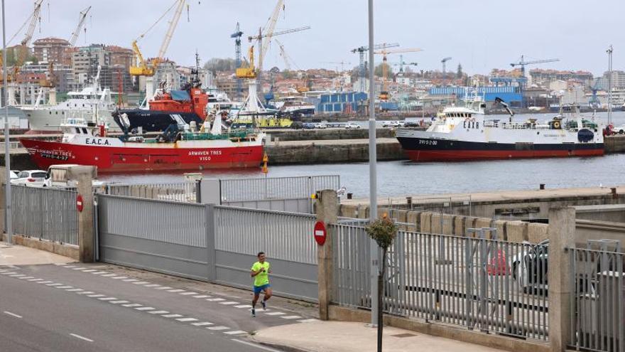 Arrastreros atracados ayer en el Puerto de Vigo.