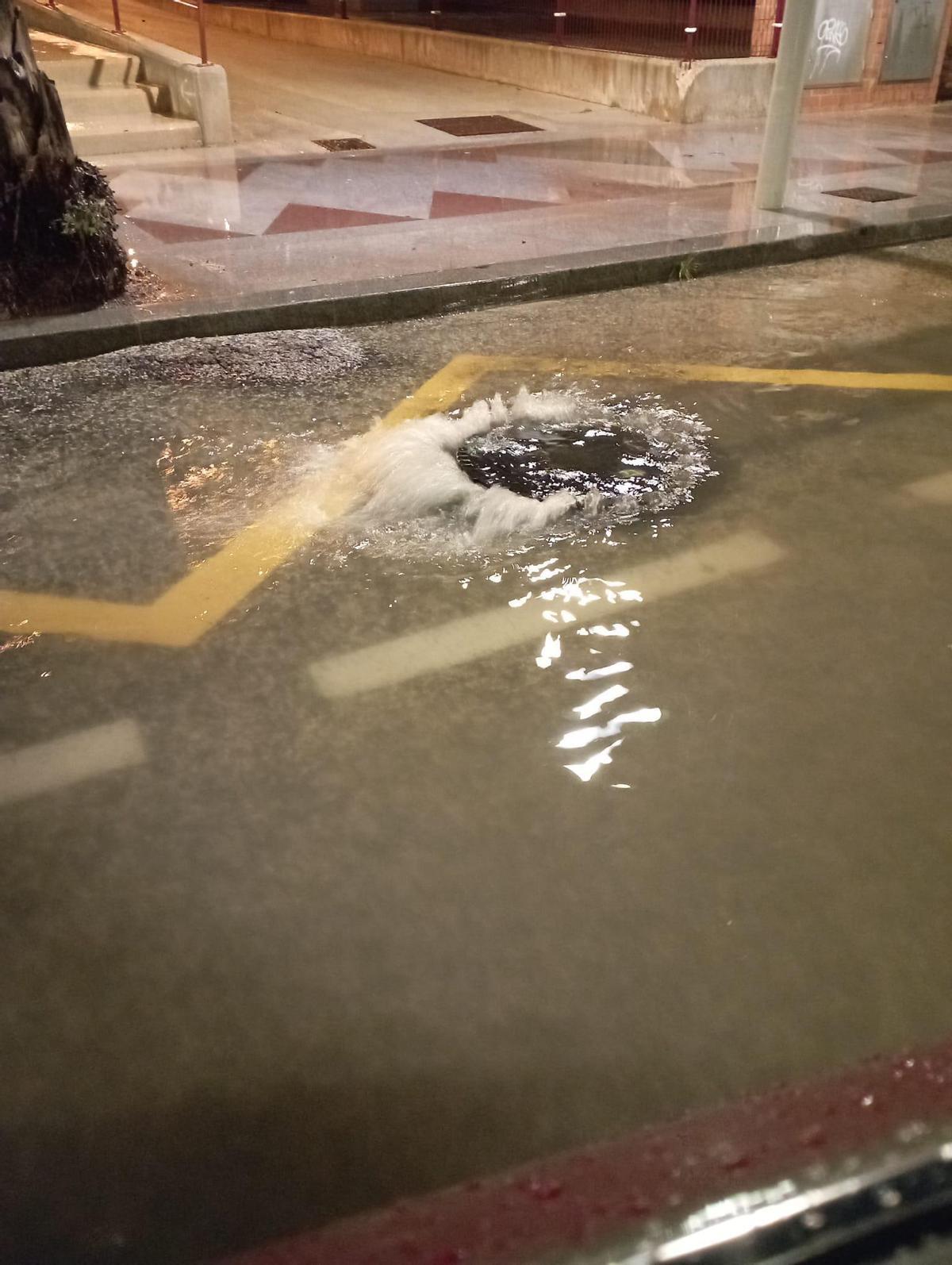 Agua saliendo de la alcantarilla en Arenales del Sol