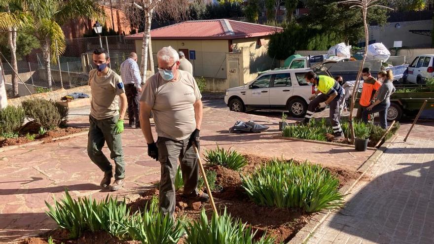 Plantan la estepa de Cartagena en Serra