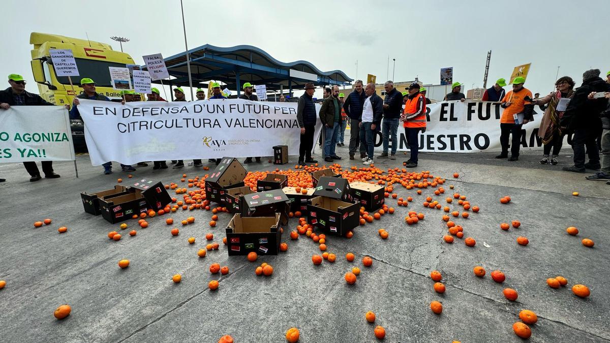 Los agricultores protestan en PortCastelló