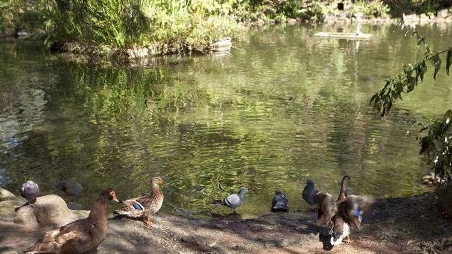 Estanque del parque Antonio García Lago.