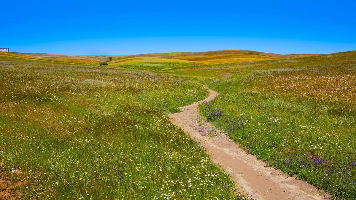 El Camino de Santiago que casi nadie conoce pasa por la calzada romana más larga de España: su tramo por Extremadura no defrauda a los peregrinos con su historia, vestigios y patrimonio
