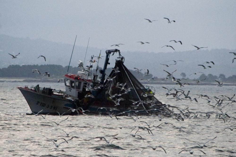 Jornada de pesca de bajura // I.Abella