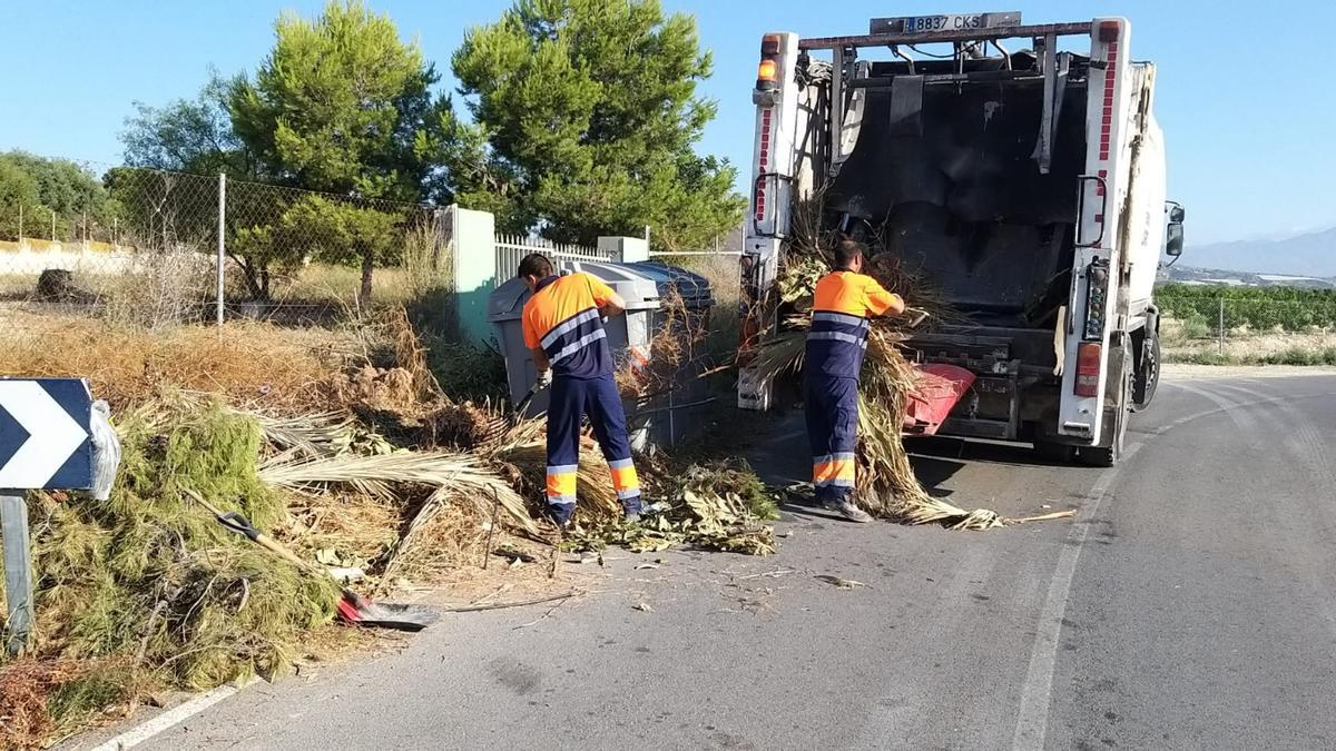 Recogida de restos de poda en una pedanía de Alicante