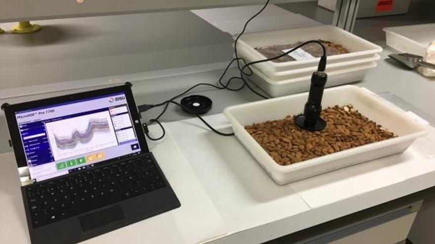 Universidad de Córdoba | Nuevas tecnologías para la detección de almendras amargas en tiempo real