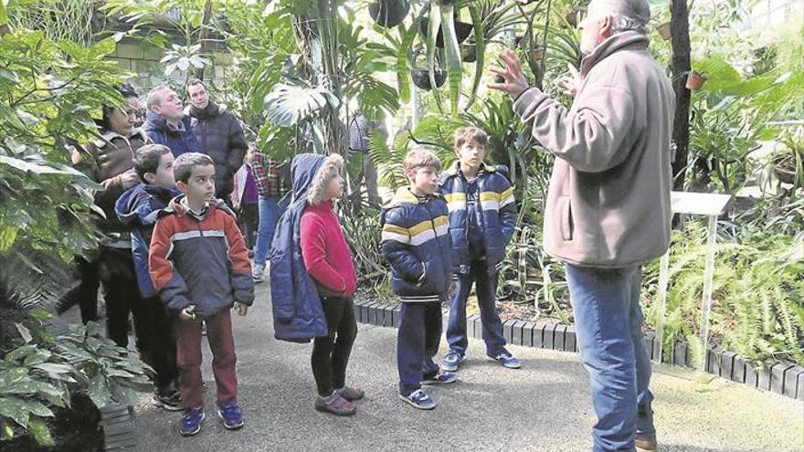 2.000 plantones, en el Día del Árbol