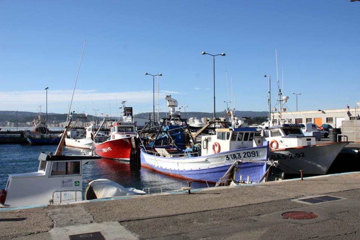 Barques de pescadors amarrades al port de Palamós. De les 27 barques, només 3 han pogut sortir a pescar.