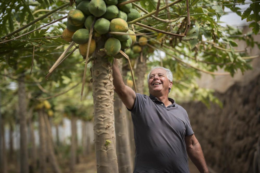 Agricultores Juan R.n Lorenzo y Francisco González