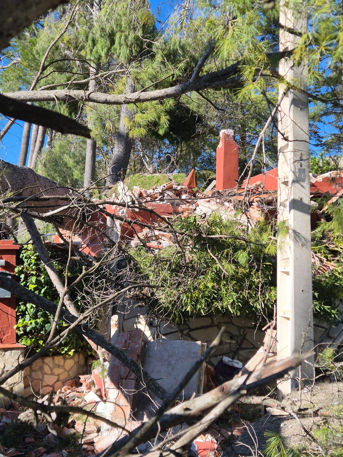 Destrozos provocados por el fuerte viento de la borrasca Kristin en Xàtiva.