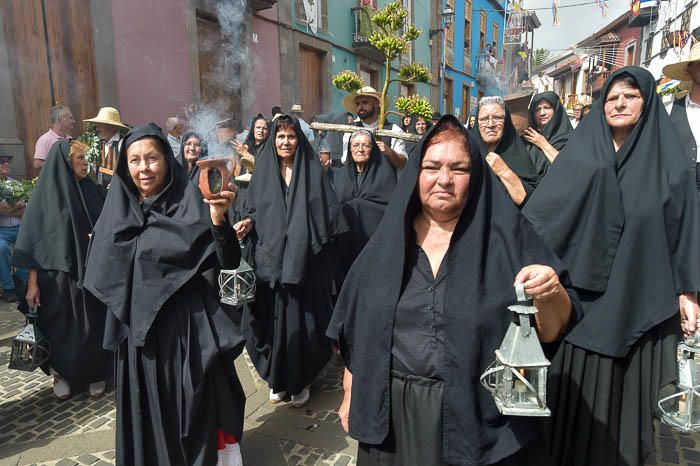 Carretas y grupos en la romería del Pino