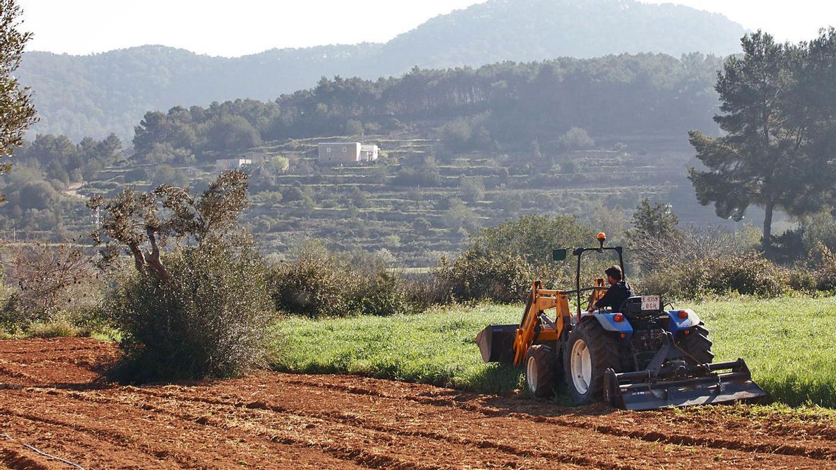 La primavera es un momento de transición entre los cultivos de invierno y los de verano. | J.A.RIERA