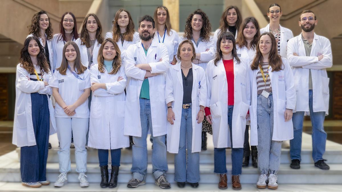Grupo de investigación de Incliva y la UPV para el desarrollo del nanodispositivo contra el cáncer de mama triple negativo.