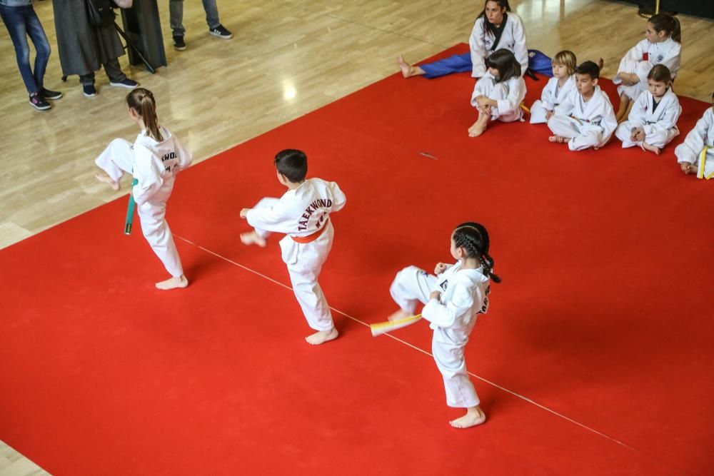 Una exposición muestra 62 ejemplares en La Lonja, algunos con 200 años de antigüedad y exhibición de artes marciales