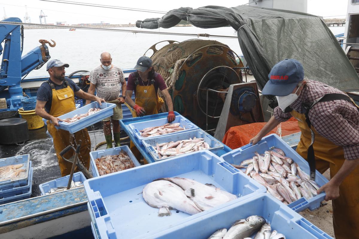 Descarga de pescado en la lonja de Castelló.