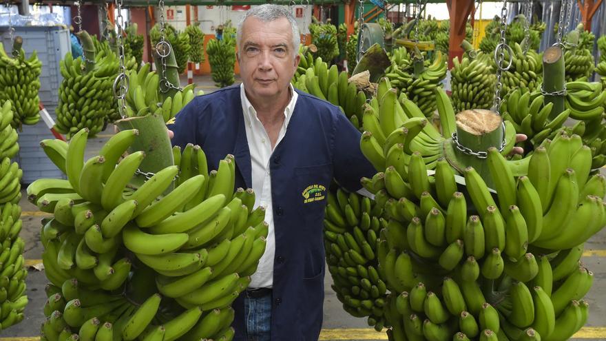 Los agricultores de Canarias sacan los tractores a la calle: en busca de una marca única para el plátano canario