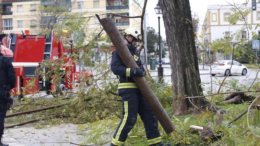 Más de la mitad de salidas de los bomberos de Córdoba no fueron por incendio