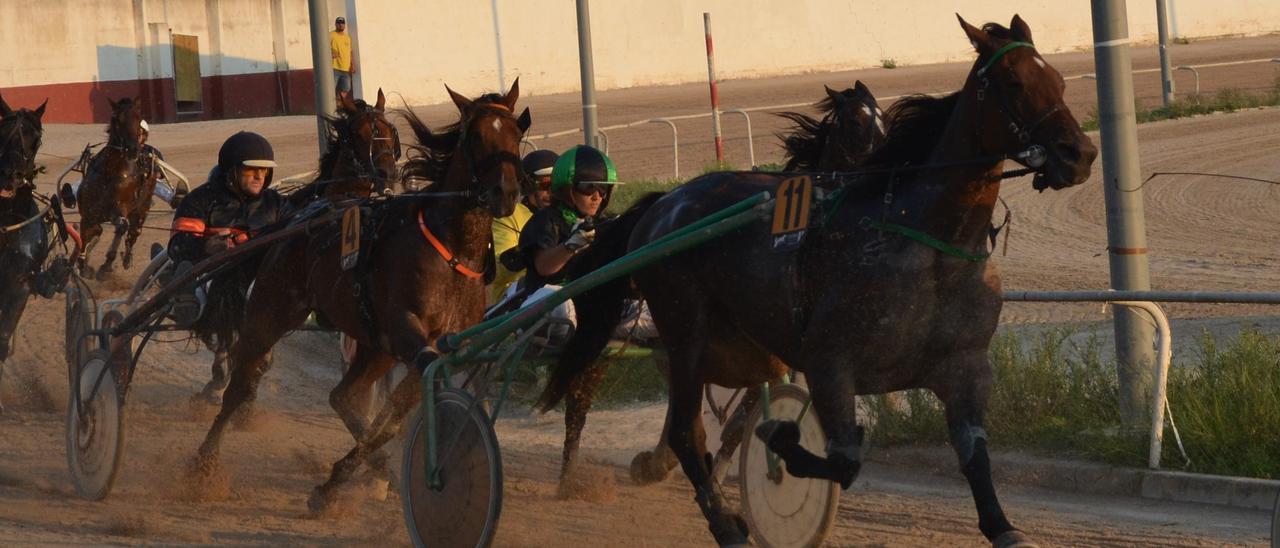 Francina JS (11), en el transcurso de una de sus últimas carreras en el Municipal con Cati Riera.