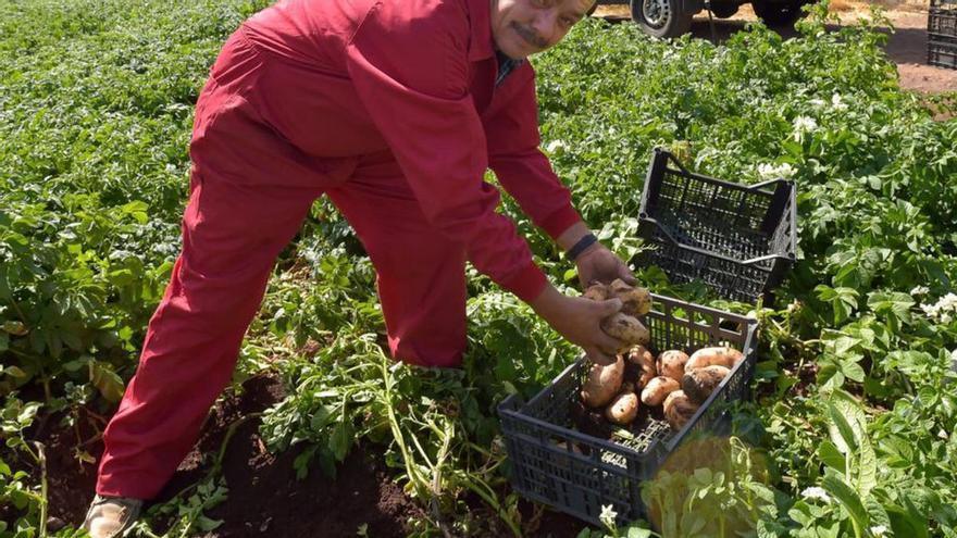 Una red para unir cuencas hidráulicas en Tejeda