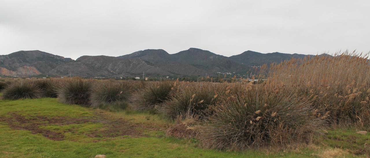 El Cuadro de Santiago de Benicàssim ha sido incluido en el catálogo de zonas húmedas de la Comunitat (archivo).