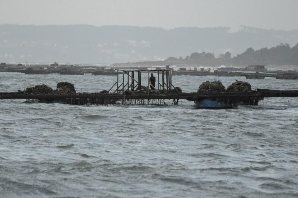 Los efectos del temporal Kurt en Arousa