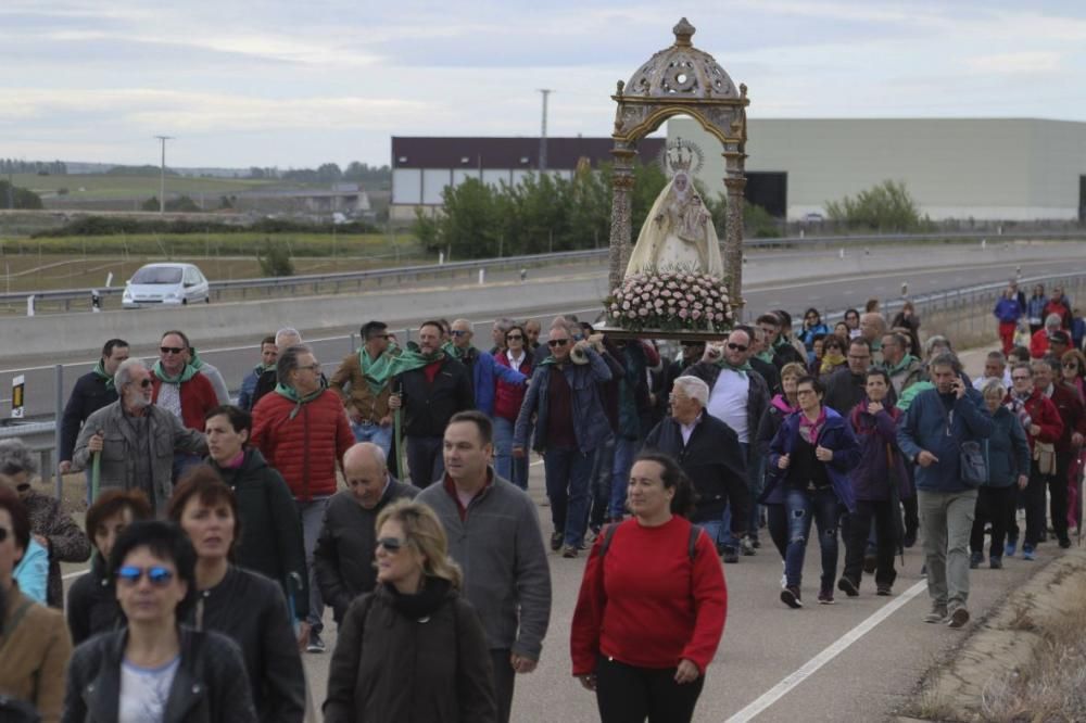 Romería del Cristo de Morales del Vino 2019