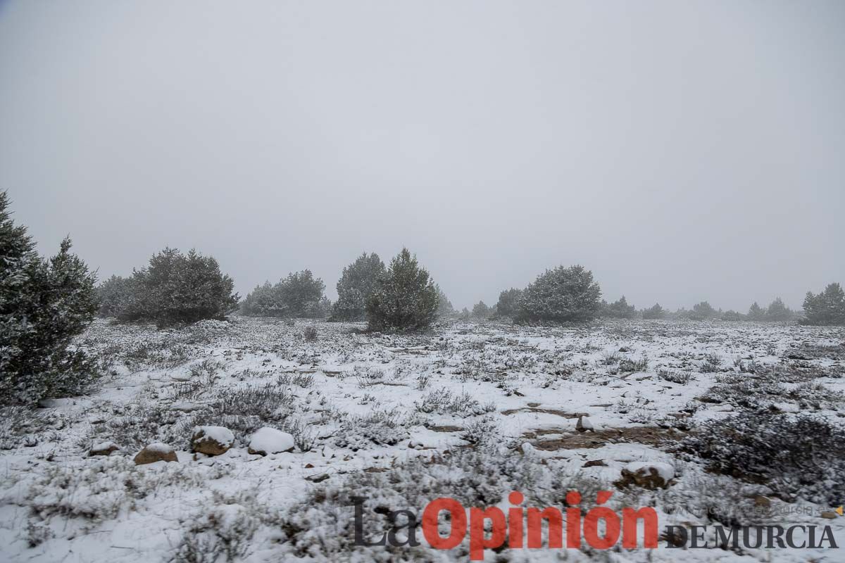 Nieve en el Noroeste