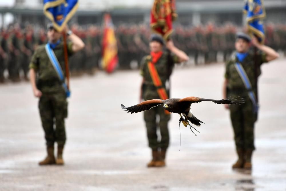 El general Luis Cortés asume el mando de la Brilat