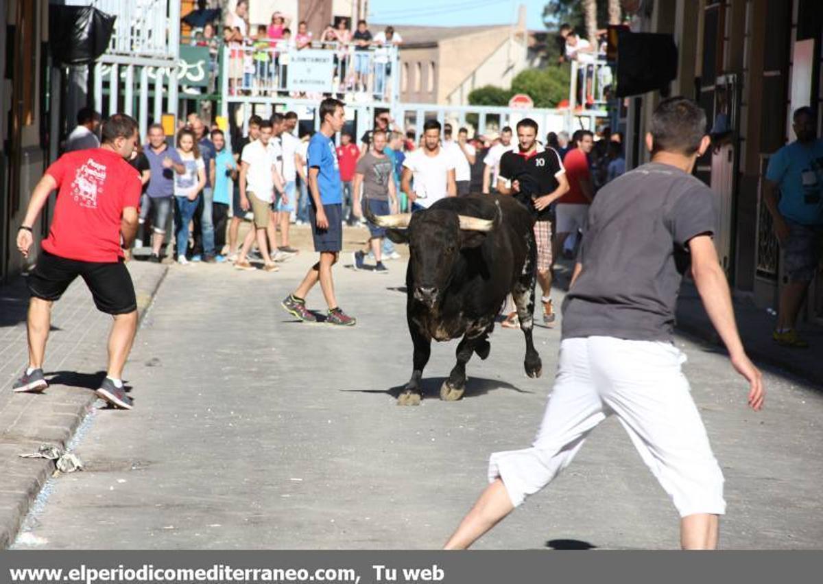 GALERÍA DE FOTOS -- Jornada dominical de Santa Quitèria en Almassora