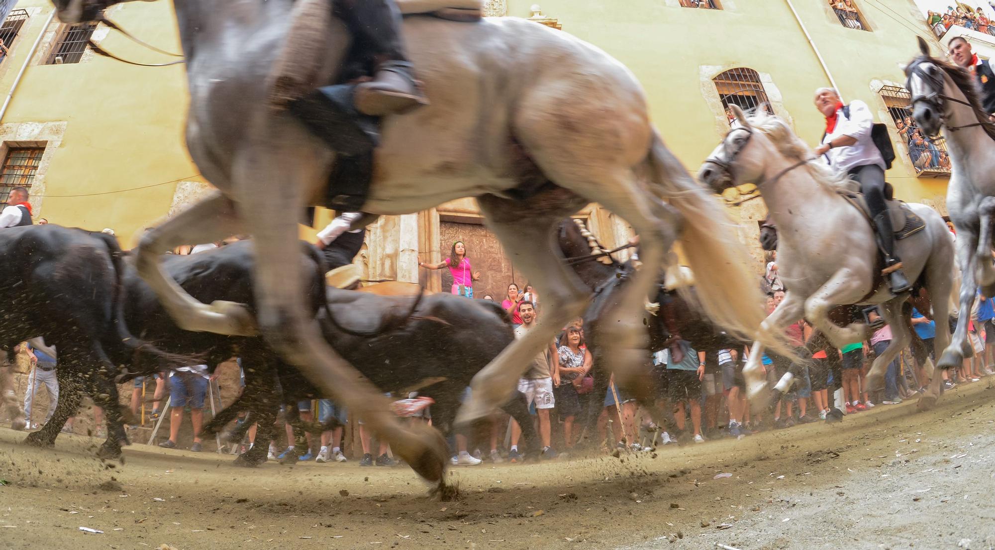 Todas las fotos de la tercera Entrada de Toros y Caballos de Segorbe