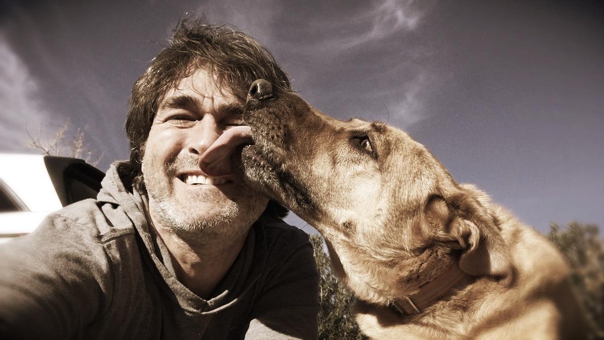 es un perro lamiendo tu cara una muestra de cariño