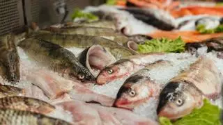 Los 4 pescados que no puede comer un menor de 10 años, según los médicos
