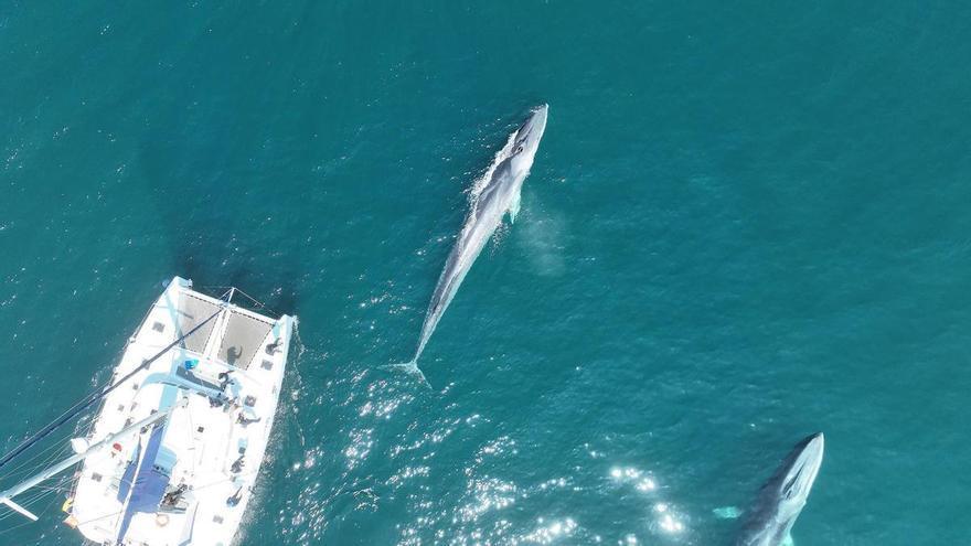 Investigadores vigueses sobrevuelan con drones la costa de G