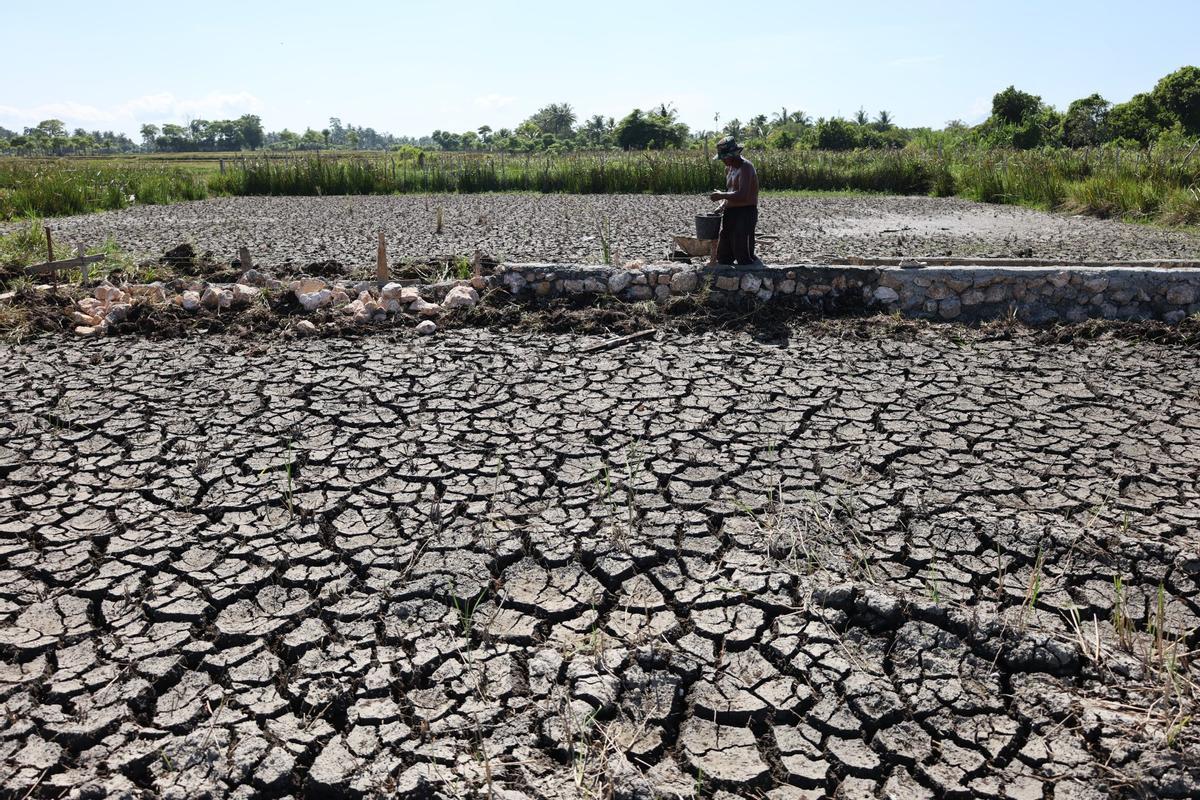 Imagen de terrenos afectados por la sequía extrema en Indonesia