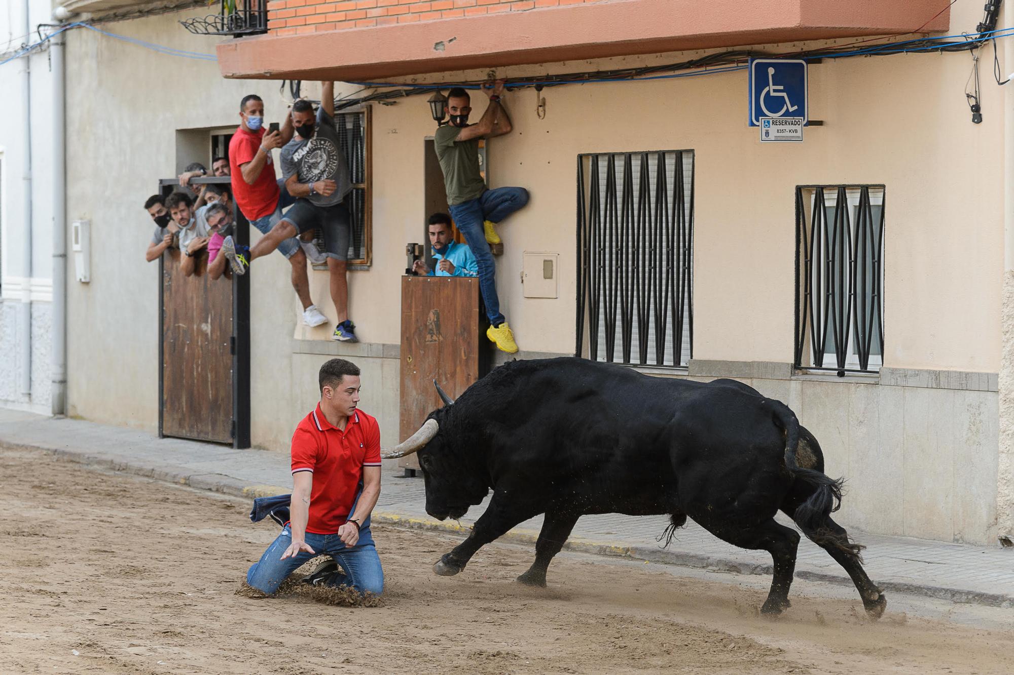 Primera jornada taurina de la Vall desde el 2019