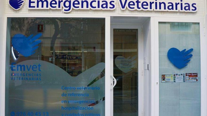 La clínica veterinaria de urgencias Emvet estrena nuevo local en el paseo María Agustín 62 de Zaragoza