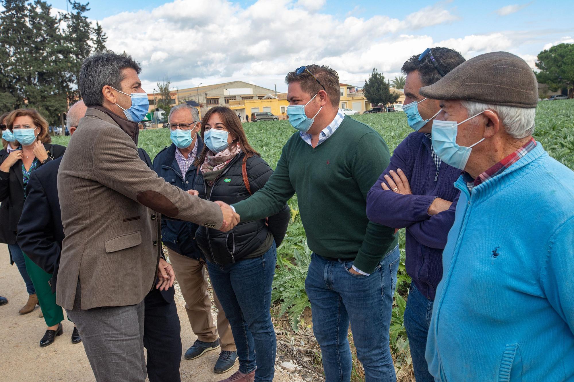 Primer corte simbólico de alcachofa en Callosa de Segura