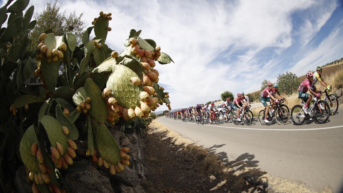 Vídeo resumen de la etapa 18 de la Vuelta a España 2022.