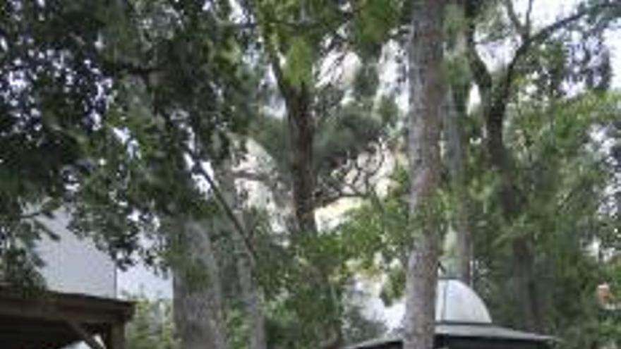 Gandia busca empresas para gestionar el quiosco  del jardín de la Marquesa