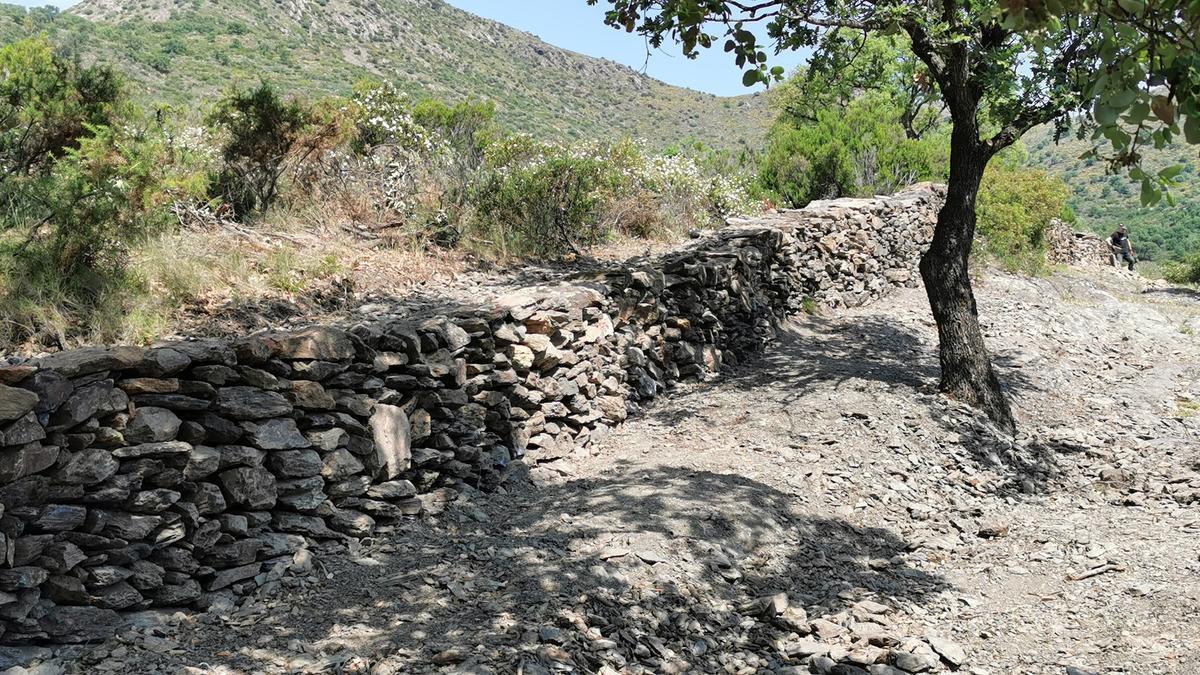 Les pràctiques s’han dut a terme amb la restauració dels murs de pedra seca de la Carrerada de la Margina