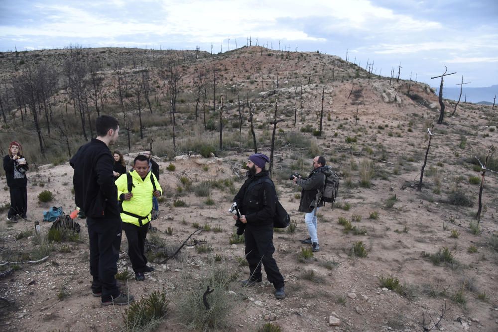 Preparatius per una gigafoto de rècord al bosc de les creus