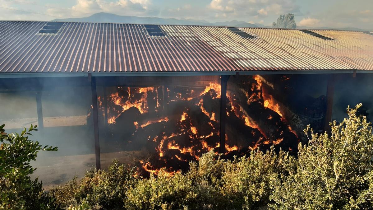 El incendio se ha extendido a una zona con abundante vegetación.