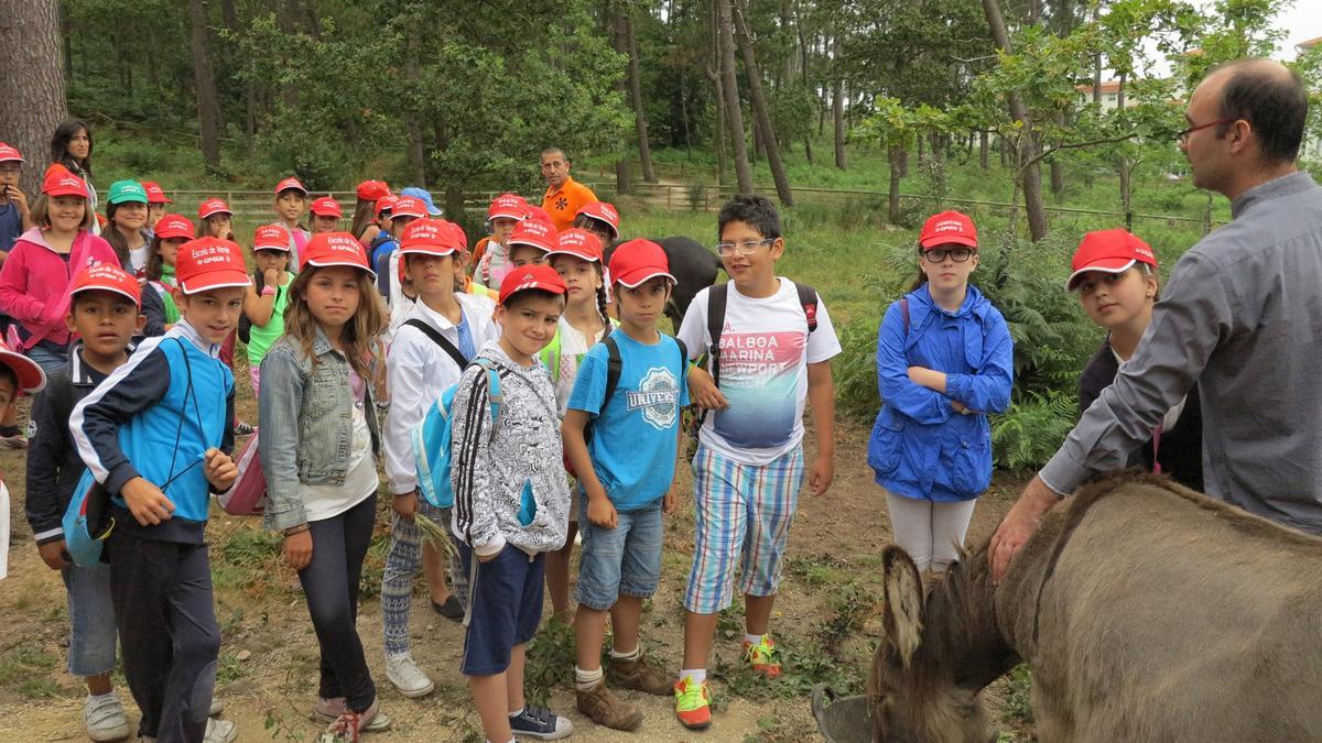 Los niños de un colegio en una visita a la parcela de los burros (archivo).