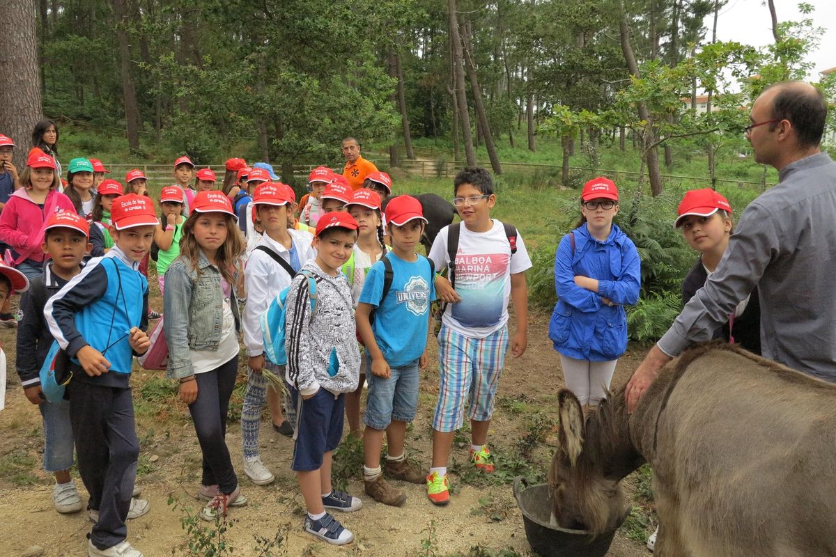 Los niños de un colegio en una visita a la parcela de los burros (archivo).